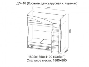 ДМ-16 Кровать двухъярусная с ящиком в Нижней Салде - nizhnyaya-salda.magazin-mebel74.ru | фото