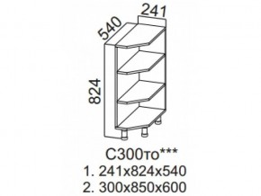 С300то Стол-рабочий 300 (торцевой открытый) в Нижней Салде - nizhnyaya-salda.magazin-mebel74.ru | фото