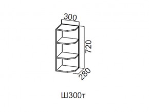 Ш300т/720 Шкаф навесной 300/720 (торцевой) в Нижней Салде - nizhnyaya-salda.magazin-mebel74.ru | фото