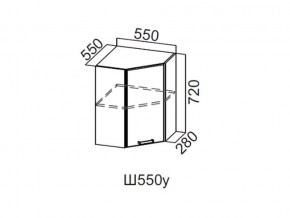 Ш550у/720 Шкаф навесной 550/720 (угловой) в Нижней Салде - nizhnyaya-salda.magazin-mebel74.ru | фото