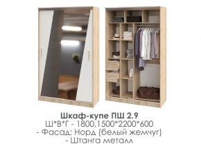 шкаф-купе ПШ-2.9 1500 Норд Белый жемчуг 1500 в Нижней Салде - nizhnyaya-salda.magazin-mebel74.ru | фото