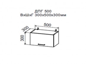 Шкаф верхний ДПГ500 горизонтальный в Нижней Салде - nizhnyaya-salda.magazin-mebel74.ru | фото