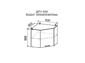 Шкаф верхний ДПУ600 угловой в Нижней Салде - nizhnyaya-salda.magazin-mebel74.ru | фото