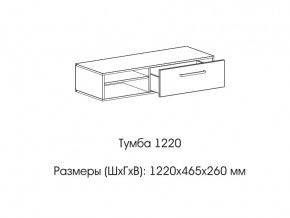 Тумба 1220 (низкая) в Нижней Салде - nizhnyaya-salda.magazin-mebel74.ru | фото